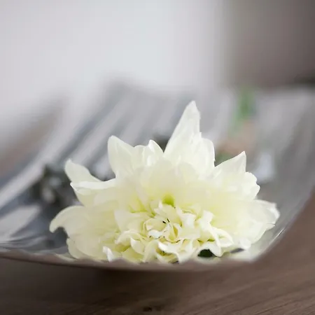 Haus Am Apfelhain 펜션 갠젤트