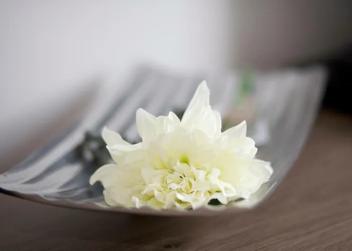 Haus Am Apfelhain 펜션 갠젤트